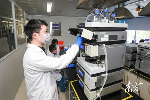 數(shù)說坪山 爭(zhēng)拼趕超跑出高質(zhì)量發(fā)展加速度