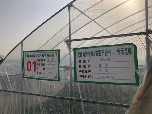 三方協(xié)同加碼，以技術(shù)轉(zhuǎn)讓與咨詢助推脫貧攻堅(jiān)